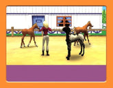 Petz Horsez 2 (Loose)
